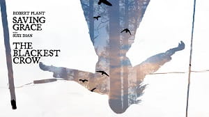 Превью новости Robert Plant "The Blackest Crow"